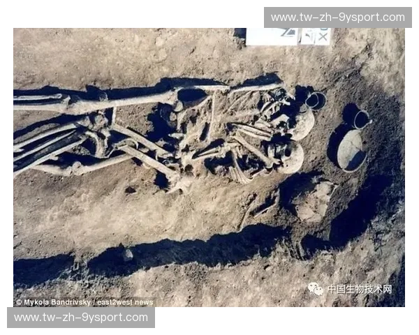 波斯巨龙与东方雄狮：穿越时空的千年对望——伊朗与中国历史交响曲